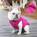 Fleece Hoodie, Windproof Waterproof Coat, Winter Warm Jacket, Cold Weather Pet Apparel Clothes Vest for Small Medium Large Dogs (S, Pink)