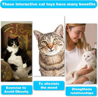 Retractable Cat Toy Wand, 12 Packs Interactive Cat Feather Toys, 9 Assorted Teaser Refills with Bell for Kitten (Pink)