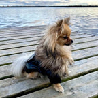 PETLESO Dog Coat for Small Dogs, Dog Leather Jacket Waterproof Windproof, Double Layer Warm Dog Winter Coat with Plush Lined, Black M