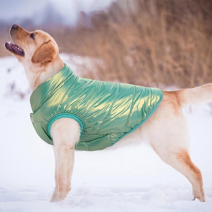 ASENKU Dog Winter Coat - Waterproof Windproof Dog Jacket, Warm Snowproof Doggie Puffer Vest for Cold Weather, Lightweight Snow Coats for Small Medium Large Dogs (Mint Green, 3XL)