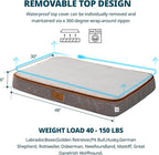 Orthopedic Memory Foam XXL Dog Bed - 6" Thick Beds for Extra Large Sized Dog - Waterproof Removable Washable Cover & Wrap-Around Zipper - Ultimate Comfort & Easy Maintenance, Light Grey