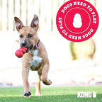 KONG Puppy - Natural Teething Rubber Chew Toy for Dogs - Stuffable Dog Toy for Extended Playtime - Chew & Fetch Toy for Puppies - for Medium Puppies - Blue