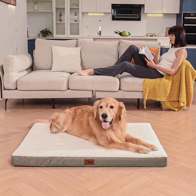 Plush Orthopedic Dog Bed for Medium Dogs & Puppies, Waterproof Dog Beds 30x20 Inch with Removable Washable Cover, Egg Crate Foam Flat Pet Mat, Khaki White