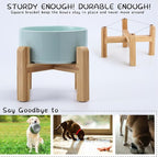 Petygooing 28 OZ Elevated/Raised Ceramic Dog Bowl for Small and Medium Breeds, Dog Food Water Dish with Stand,Pet Feeding Bowl with Anti Slip Rubber for Cats Small and Medium Dogs (3.6 Cups) Blue Sky