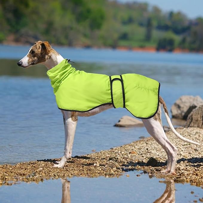 Dog Raincoat with Reflective Bar, Rain/Water Resistant, Adjustable Vest - Dog Raincoats for Greyhounds, Lurchers and Whippets - Light Green - XXXL