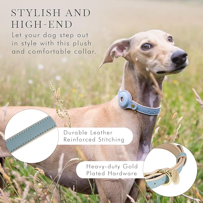 NINA WOOF Cupertino Dog Collars, Harnesses & Leashes Made from Vegan Leather with Dog Tracker Device Holder Adjustable Dog Collar - Color Blue, Large
