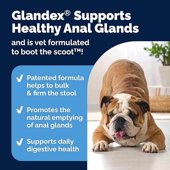Vetnique Glandex Dog Fiber Supplement Powder for Anal Gland Health with Pumpkin, Digestive Enzymes & Probiotics - Vet Recommended (Regular or Advanced Strength) - Boot The Scoot (5.5 oz, Salmon)