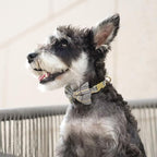 Beirui Cute Extra Small Dog Harness Collar and Leash Set with Bowtie, Soft Adjustable Plaid Puppy Harness for Small Sized Dogs Cats Walks Parties and Photoshoots(Gray,XS:Chest 13-18")