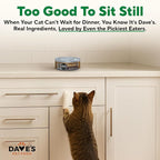 Dave's Pet Food Grain Free Wet Cat Food Pate (Turkey), Made in USA Naturally Healthy Canned, Added Vitamins & Minerals, Carrageenan-Free, 5.5 oz Cans (24 Pack)