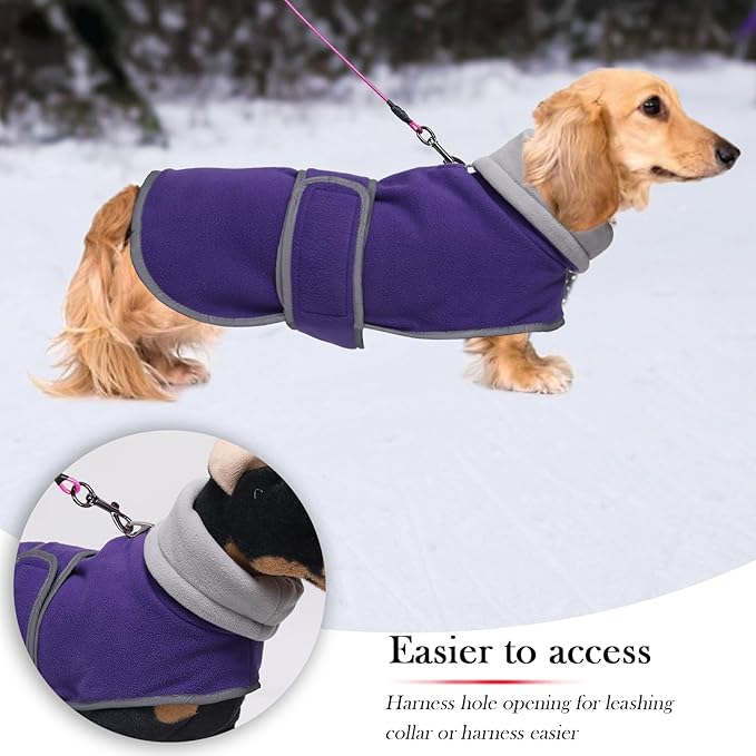 Geyecete Dachshund Sweaters for Dogs Jacket,Dachshund Coat Perfect Dog Winter Coat with Padded Fleece Lining,high Collar,Dog Snowsuit-Purple-M