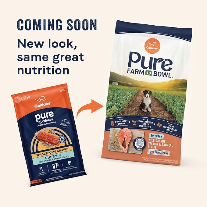 CANIDAE Pure Limited Ingredient Premium Puppy Dry Dog Food, Real Salmon & Oatmeal Recipe, 4 lbs, with Wholesome Grains