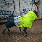 Spark Paws Dog Raincoat, Waterproof Windproof Rain Jacket, for Small Medium Large Extra Large Dogs, Reflective Breathable Full-Body Coverage Dry Suit - Neon White Navy Blue, 4XL