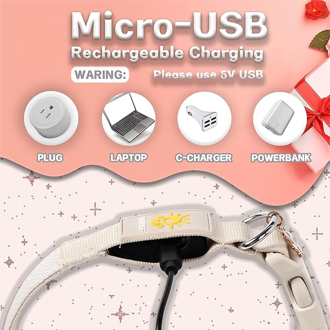 DOGWONG LED Dog Collar - Heavy Duty Light up Collars - Rechargeable Waterproof - Lighted Dog Collar for Night Walking, Hiking, Camping(White,S)