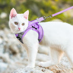 Dooradar Cat Harness and Leash Set, Escape Proof Lightweight Kitten Harness, Soft Breathable Reflective Vest for Outdoor Walking Traveling, Adjustable for Large Cats, Grey & Purple, L