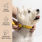 Wild One Dog Collar, Easy-Clean, All Weather Flex-Poly Strap with Metal, Durable, Dirt and Odor Resistant (Butter, M)