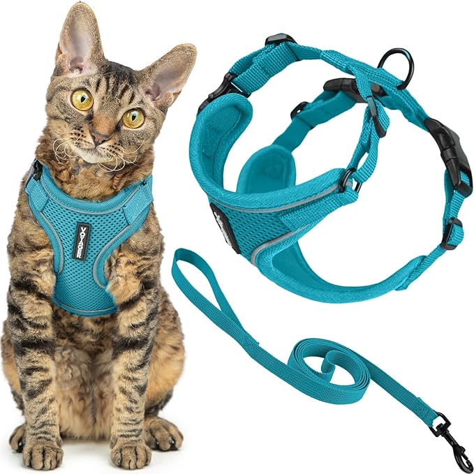 Voyager Escape Proof Cat Harness and Leash Set with Reflective Stitching, Neoprene Handle 5ft - Supports Small, Medium and Large Cats, Kittens for Walking by Best Pet Supplies - Turquoise, XXS