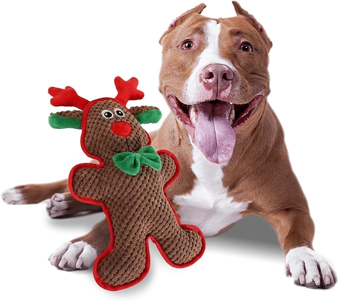ALL FOR PAWS Christmas Dog Squeaky Toys Dog Gifts Chew Toy Enrichment Fetch Toys Holiday Birthday Gift for Medium to Large Dogs