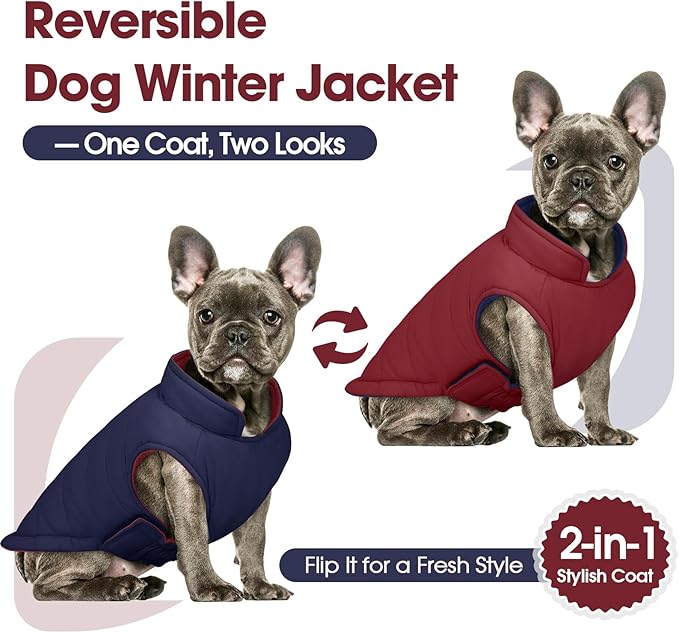 QBLEEV Reversible Dog Coat for Small Dogs, Waterproof Windproof Winter Jacket Keeps Small Breeds Warm & Dry, Lightweight Adjustable Puffer Vest with Leash Hole, Wine Red, XS – Fits Chihuahua, Yorkie