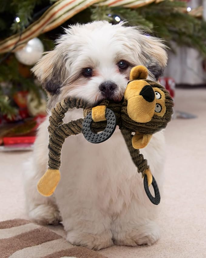 HGB Squeaky Dog Toys, Plush Dog Chew Toys for Puppy Teething, Pet Training and Entertaining, Cute Interactive Dog Toys for Small and Medium Dogs
