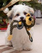 HGB Squeaky Dog Toys, Plush Dog Chew Toys for Puppy Teething, Pet Training and Entertaining, Cute Interactive Dog Toys for Small and Medium Dogs