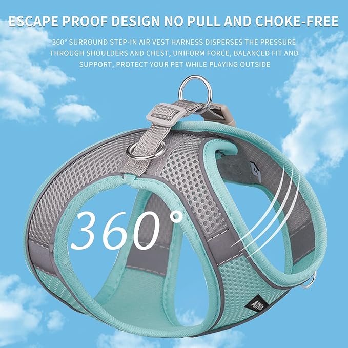 AIITLE Step in Dog Harness and Leash Set - Summer No Pull Escape Proof Vest Harnesses with Soft Mesh and Reflective Bands, Adjustable Pet Outdoor Harnesses for Small and Medium Dogs Turquoise M