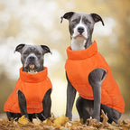 Kuoser Dog Coat Warm Dog Puffer Jacket, Windproof Dogs Padded Vest Lightweight Cold Weather Coats Pet Snowsuit Soft Puppy Winter Clothes for Medium Large Dogs, Button Design, Easy On/Off, Orange L