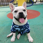 CuteBone Small Dogs Outfit Soft Puppy Onesies Pjs Dog Pajamas Pet Coat Cat Apparel Comfy Doggie Jumpsuit Bodysuit for All Seasons P47XL