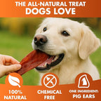 BRUTUS & BARNABY Whole Pig Ears for Dogs, 25 Ct. – All-Natural Single Ingredient Dog Chews, Slow Cooked & Fully Digestible Rawhide Alternative
