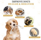 Dog Rope Toys for Small Aggressive Chewers, Tough Cotton Chew Toy, 16in Indestructible, Tug of War Dog Pull Rope Teeth Cleaning(2 pack-16Inch)