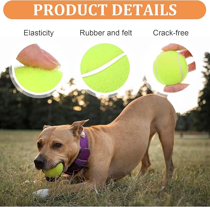 DIVINA VITAE 20Pcs Small Tennis Balls for Dogs, 2 Inch Colorful Mini Tennis Balls Fits All 2 Inch Dog Ball Launchers