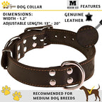 ADITYNA Heavy Duty Black Leather Dog Collar - Soft and Strong Medium Dog Collar for Walking, Training, Hiking, and Running (Medium: Fit 13" - 20" Neck, Black)