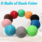 30 Pcs Tennis Balls for Dogs 2.5 Inch Pet Playing Ball Mini Training Dog Balls High Elasticity Practice Puppy Ball for Large Dog, Medium Small Dogs, 15 Colors