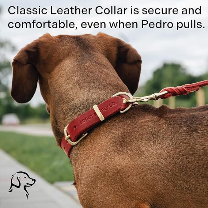 Classic Genuine Leather Dog Collar | Dog Collars for Medium Dogs, Small Dogs, Large Dogs & Extra Large Dog | Wide Dog Collar | Heavy Duty Collar (Red, XX Large)