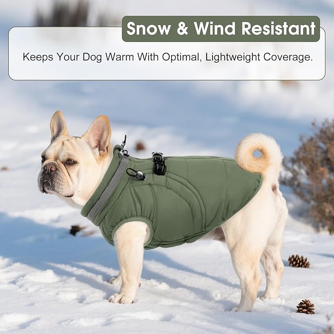 SAWMONG Dog Coat, Warm Dog Winter Coat, Waterproof Fleece Jacket, Cold Weather Dogs Jacket (XS,Green)