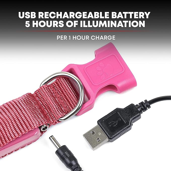 ILLUMISEEN LED Dog Collar USB Rechargeable - Bright & High Visibility Lighted Glow Collar for Pet Night Walking - Weatherproof, in 6 Colors & 6 Sizes (Pink X-Small)