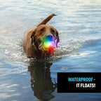 Nite Ize GlowStreak Rechargeable LED Ball - Rubber Dog Toy - Motion-Activated & Waterproof Design - 9 Hours of Runtime - Premium Dog Toys - Disc-O