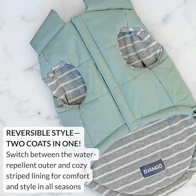DJANGO Puffer Dog Coat – Warm Winter Dog Jacket & Water-Repellent Insulated Puffer Vest with Striped Lining, Harness Hole, Adjustable Fit for Small & Medium Dogs, Dachshunds – Sea Foam Green, Large