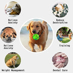 HYQ Interactive Ball for Small Medium Large Dogs - Squeaky Toy to Keep Them Busy - 3.94 Inch Puppy Ball