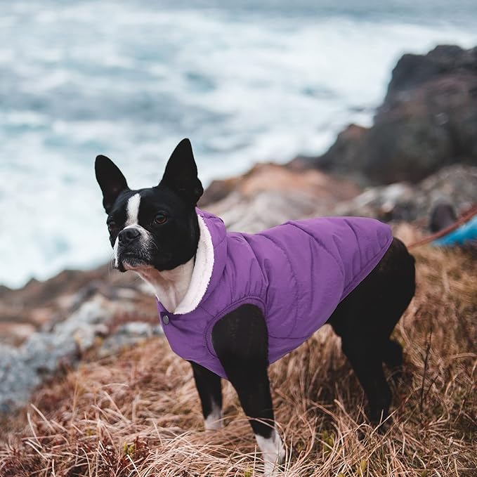 Windproof Waterproof Dog Coat Fleece & Cotton Lined Warm Jacket, Cold Weather Pet Apparel Clothes Vest for Small Medium Large Dog (XL, Purple)