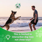 Size 2 Dog Soccer Ball with Straps White & Green Durable Training Ball for Pets Interactive Outdoor Dog Toy, for Small & Medium Puppies, Pet Supplies