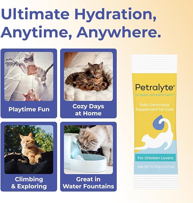 Petralyte Cat Hydration Electrolyte and Cat Joint Supplement | Hydration Support for Cats w/Glucosamine, Chondroitin, L-Glutamine, Taurine, Lysine & Prebiotics | for Chicken Lovers | 16 Packets