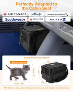 PETUX Small Cat Carrier - Pet Carrier Airline Approved for Kitten Under 10 lb - Escape-Proof, Foldable and Portable Cat Carriers with Removable Bag and Safety Buckle for Travel, Vet Visits - Black