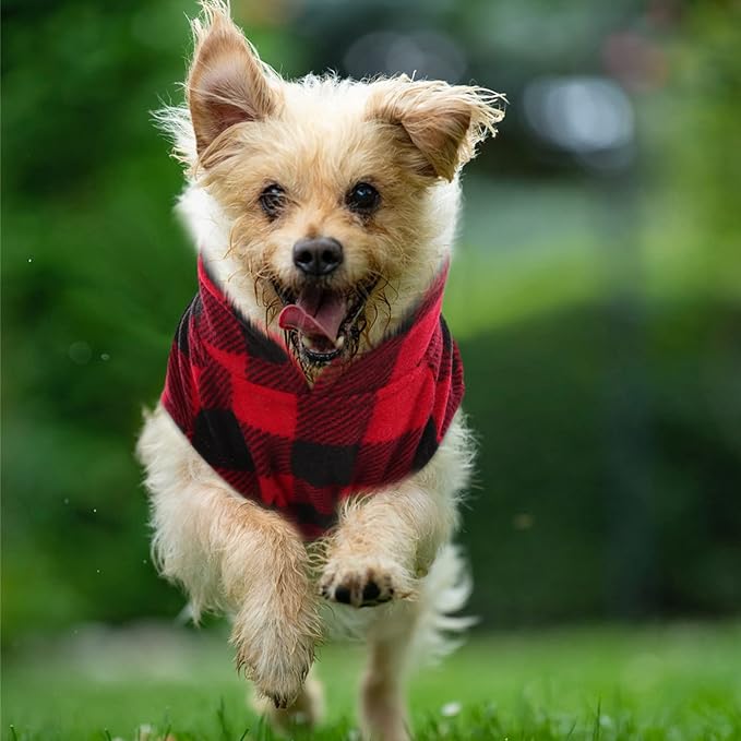KAMA BRIDAL Spring Autumn Winter Coat Pullover Fleece Vest for Cats Small and Medium Dogs Thin Sweater Red & Black Plaid (Red, M)