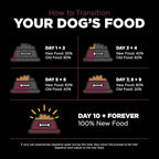Go! Solutions Sensitivities Limited Ingredients, Grain-Free Dry Dog Food, Lamb Recipe for Sensitive Stomach, 22 lb Bag