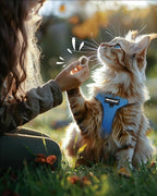 FAYOGOO Cat Harness and Leash Set | Upgrade Step-in Escape Proof Harness | Lightweight Soft Vest, No-Choke Design for Walking, Travel, Camping (Tranquil Teal)