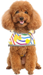 Dog Raincoat for Small Dogs Puppies Waterproof Hooded Rain Jacket with Reflective Strips Leash Hole & Poncho Adjustable Fit (Rainbow,S)