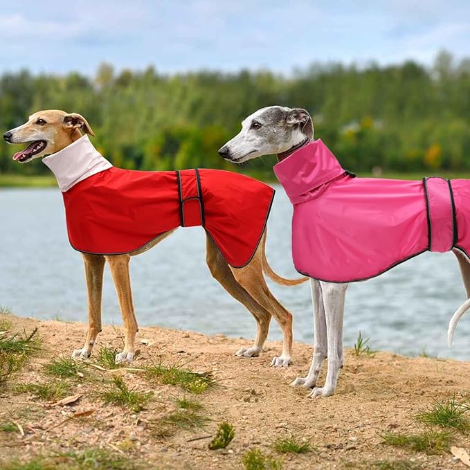 Dog Raincoat with Reflective Bar, Rain/Water Resistant, Adjustable Vest - Dog Raincoats for Greyhounds, Lurchers and Whippets - Pink - XXL