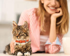 3 Pack Leather Cat Collars with Bells Soft Pet Safety Collar Kitten Collars with Bell Orange Yellow Mint Green(XS)