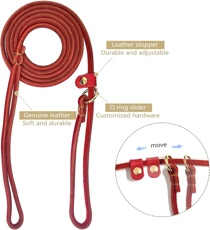 Guiding Star Leather Slip Lead Dog Leash for Small Dogs & Puppies 6 Ft x 1/4 Inch,Luxurious and Lightweight Leather Training Dog Leash for Walking with Soft Handle (Red)