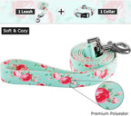 Ihoming Dog Collar and Leash Set for Daily Outdoor Walking Running Training, Floral Spring Design for Medium Boys Girls Dogs Cats Pets, M-Up to 45LBS